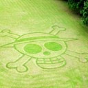 สมาชิกหมายเลข 807992