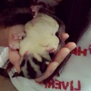 สมาชิกหมายเลข 966007