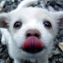 สมาชิกหมายเลข 2204664