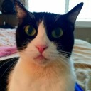 สมาชิกหมายเลข 2207160