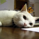 สมาชิกหมายเลข 834648