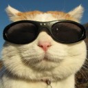 สมาชิกหมายเลข 967923