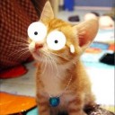 สมาชิกหมายเลข 930781