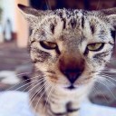 สมาชิกหมายเลข 966451