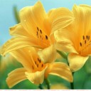 สมาชิกหมายเลข 968893