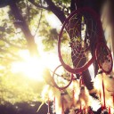 สมาชิกหมายเลข 1371436