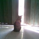 ริมน้ำน่าน