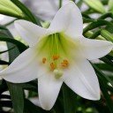 สมาชิกหมายเลข 2208478