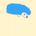 ตุ่นฟ้า