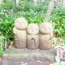 สมาชิกหมายเลข 2422691