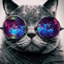 สมาชิกหมายเลข 2725247