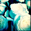 สมาชิกหมายเลข 969505