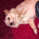 สมาชิกหมายเลข 1021742