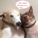 สมาชิกหมายเลข 2519921