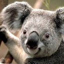 สมาชิกหมายเลข 1703228