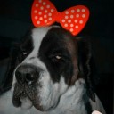 สมาชิกหมายเลข 1372637