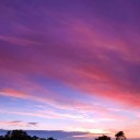 สมาชิกหมายเลข 2208546