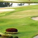 สมาชิกหมายเลข 1260308