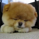 สมาชิกหมายเลข 2982269