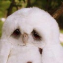 สมาชิกหมายเลข 793884