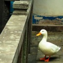 สมาชิกหมายเลข 834969