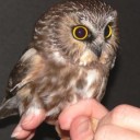 สมาชิกหมายเลข 2148524