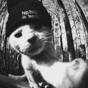 สมาชิกหมายเลข 2603037