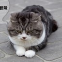 สมาชิกหมายเลข 2834435