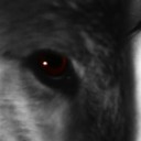 สมาชิกหมายเลข 3011936