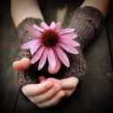 สมาชิกหมายเลข 970606