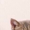 สมาชิกหมายเลข 1792951