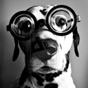 สมาชิกหมายเลข 2209809