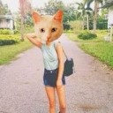 สมาชิกหมายเลข 2210481