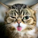 สมาชิกหมายเลข 2210935