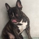 โซบะ & อูด้ง