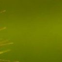 สมาชิกหมายเลข 3013033