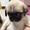 คนตัวเล็กๆในเมืองใหญ่