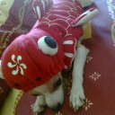 สมาชิกหมายเลข 972072