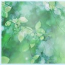 สมาชิกหมายเลข 972182