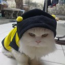 สมาชิกหมายเลข 1364846