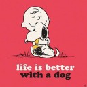 ดอกฟ้าและโดมผู้จองหอง