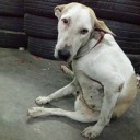 ไม่สวย ไม่หยิ่ง แต่จริงใจ