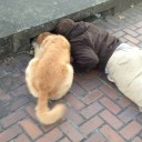 สมาชิกหมายเลข 1278860