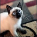 สมาชิกหมายเลข 1366396