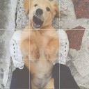 สมาชิกหมายเลข 2162745