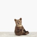 สมาชิกหมายเลข 703468