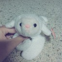 สมาชิกหมายเลข 1375350