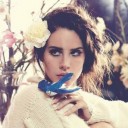 สมาชิกหมายเลข 1801336