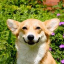 สมาชิกหมายเลข 2212081