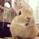 นี่หนูเองคนนั้นอ่ะ